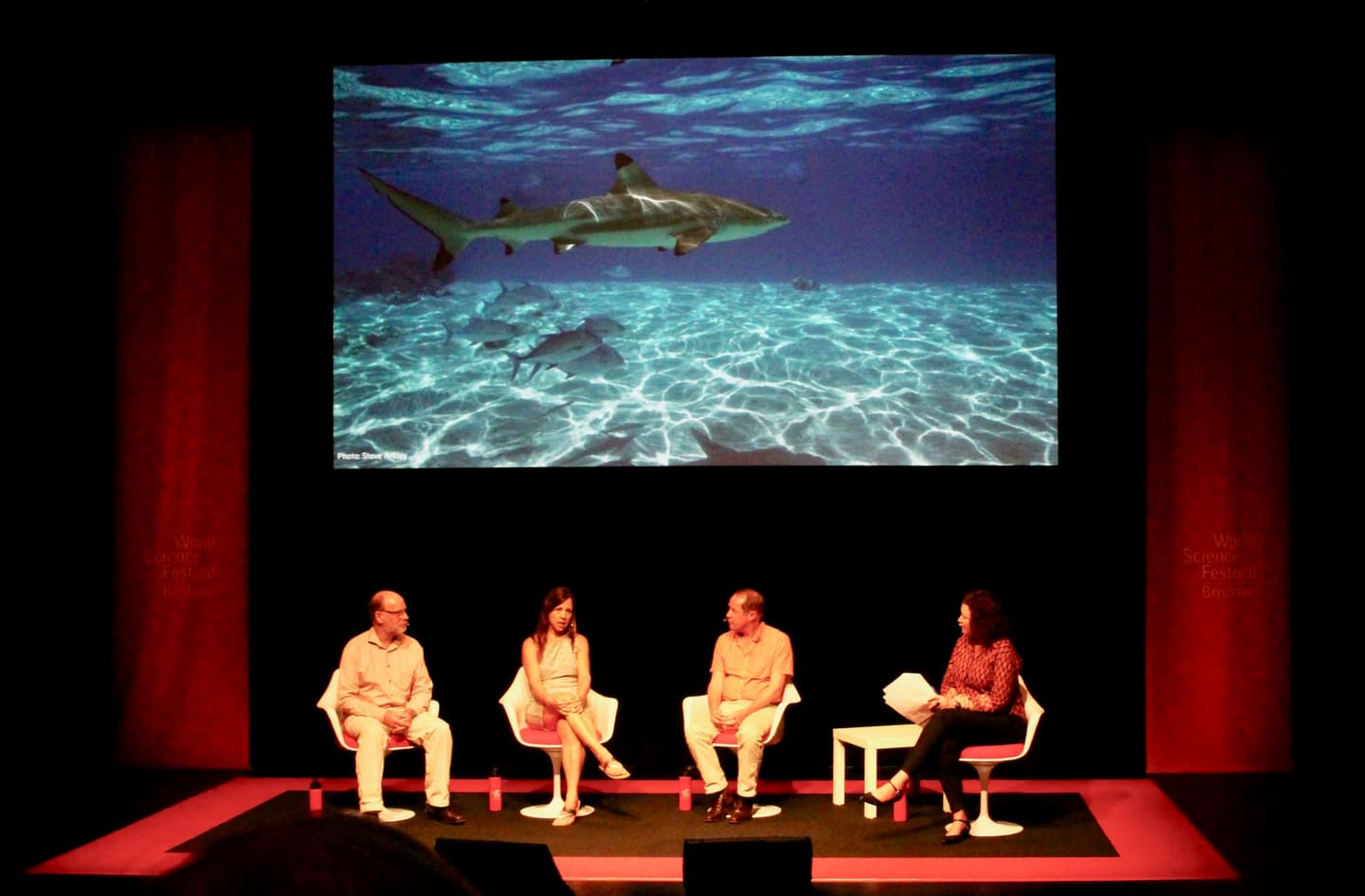 Volunteer opportunities in shark research