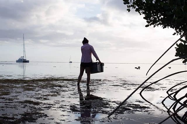 Shark habitat monitoring